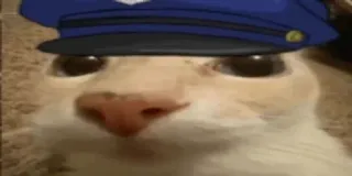 👮‍♂️ df4249be kucing, polisi, hewan, topi, lucu, meme whatsapp sticker