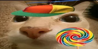 🧢 e935fc9c kucing, hewan, permen lolipop, permen, topi baling-baling, lucu, imut whatsapp sticker