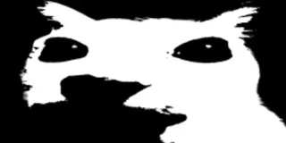 🫥 f702fba2 kucing, meme, berteriak, lucu, hewan whatsapp sticker