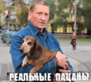 💤 a4a3ac2d РЕАЛЬНЫЕ ПАЦАНЫ pria, anjing, dachshund, jalan, teks Rusia telegram sticker