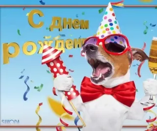 🌟 a4b117dc С днем рождения selamat ulang tahun, anjing, pesta, perayaan, konfeti, hewan, salam telegram sticker