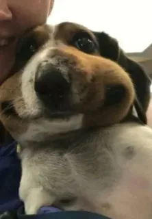 Больше стиков тут: @stikery4 telegram stickers