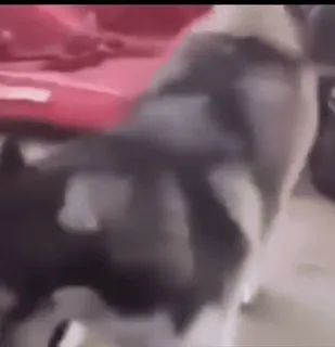 😁 fa520158 telegram sticker