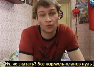 🌟 4e337c11 Ну, че сказать? Все нормуль - планов нуль telegram sticker