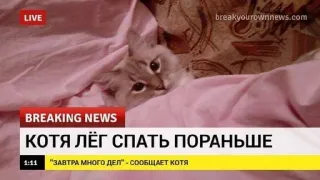 🌟 644414cc КОТЯ ЛЁГ СПАТЬ ПОРАНЬШЕ
"ЗАВТРА МНОГО ДЕЛ" СООБЩАЕТ КОТЯ gato, dormir, noticias, animal, meme telegram sticker