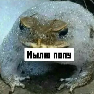 🫧 7a4d8583 Мылю попу rana, burbujas, ruso, animal telegram sticker
