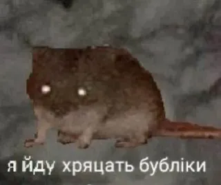 🍩 ed2bf0f0 я йду хряцать бублики animal, roedor, ratón, bagel, criatura telegram sticker