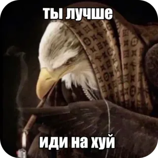 🦅 3e98f557 ты лучше
иди на хуй águila, cigarro, gracioso, ofensivo, ruso, insulto telegram sticker