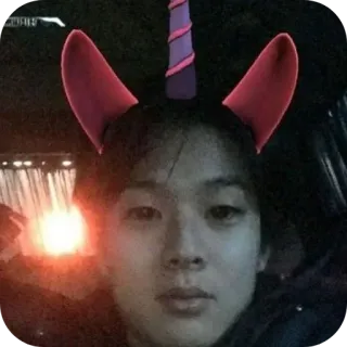 🙂 4c6827e3 persona, cara, selfie, unicornio, disfraz telegram sticker