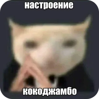 🥰 6b1cf274 настроение
кокоджамбо gato, meme, ruso, texto, gracioso, humor telegram sticker
