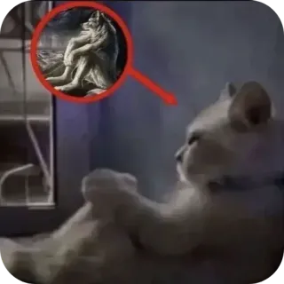 🙂 971bc597 gato, gracioso, meme, mascota, animal, lindo telegram sticker