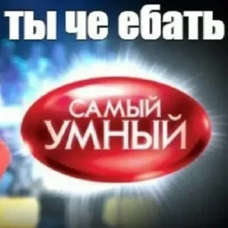 🧐 f640f1ae Ты че ебать
САМЫЙ УМНЫЙ ofensivo, ruso, texto, humor, meme telegram sticker