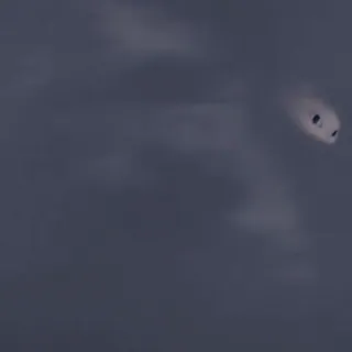 🫧 074ee89a telegram sticker