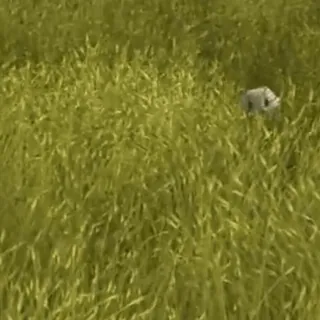 🫧 6f3861b5 telegram sticker