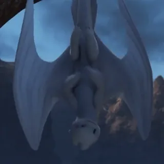 🫧 9f483b5b Light Fury How to Train Your Dragon Drache, Leuchtender Furie, Weißer Drache, Fliegen, Drachenzähmen leicht gemacht, Fantasy telegram sticker