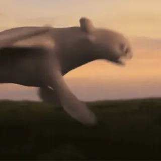 🫧 d0ffe07e Tier, fliegend, Landschaft, laufend, Silhouette telegram sticker