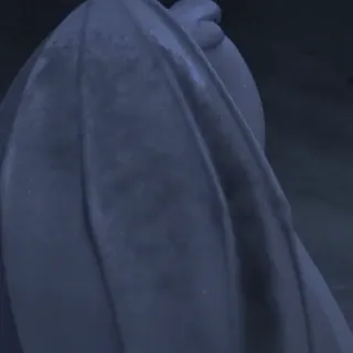 🫧 d980e341 telegram sticker