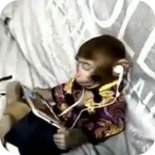 🐶 c8eaadd4 singe, casque audio, animal, technologie, t-shirt whatsapp sticker