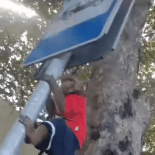 🐵 2b207b42 telegram sticker