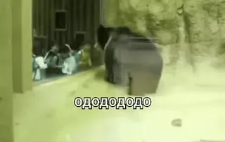 😏 5259ba5c ододододо 熊, 动物园, 动物, 表情包, 俄罗斯 telegram sticker