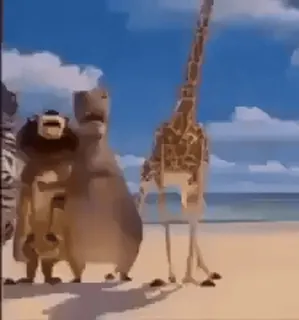 🤩 2c47738d telegram sticker