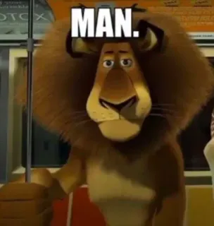 🤩 5d0d830a Alex Madagascar MAN. Löwe, Alex, Madagaskar, lustig, Meme telegram sticker