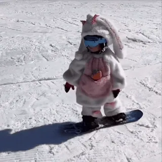 🤩 b44a1992 Snowboarden, Hase, Wintersport, Schnee, Outdoor, Kind, Snowboard telegram sticker