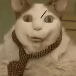 🤩 db8e4636 Katze, Krawatte, Gesicht, lustig, Tier telegram sticker