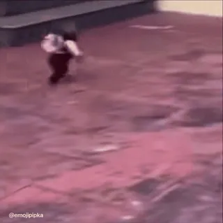 🤩 e4d3577f @emojipipka telegram sticker