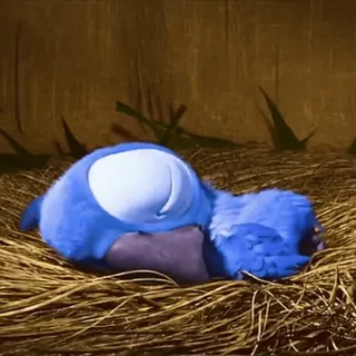 🤩 ece8c21d Vogel, Nest, schlafend, Tier, süß telegram sticker