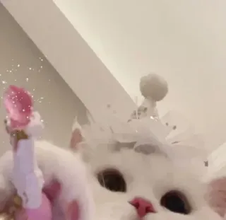 🪄 178aceba kucing, kucing putih, imut, binatang, hewan peliharaan, tongkat sihir, berkilau whatsapp sticker