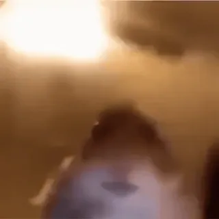 🪱 6ed7a1dd whatsapp sticker