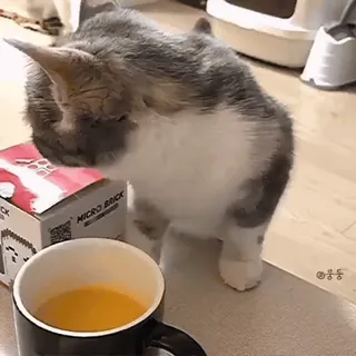 ☕️ f93c28c4 MICRO BRICK gato, mascota, animal, bebida, ladrillo telegram sticker