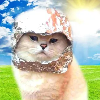 🥸 0eb03050 Katze, Aluhut, Paranoia, Verschwörung, Humor whatsapp sticker