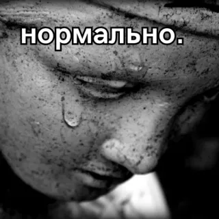 🕊 085b453a нормально. russe, triste, pleurer, citation, normal, texte, mème telegram sticker