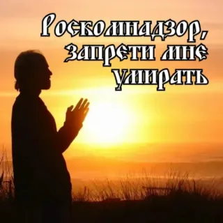🕊 20465af4 Росколнадзор, ЗАПРЕТИ МНЕ УМИРАТЬ coucher de soleil, prière, silhouette, texte en russe telegram sticker