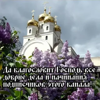 🕊 d020e03b Да благословит Господь все добрые дела и начинания подписчиков этого канала! église, religion, bénédiction, orthodoxe russe, lilas telegram sticker