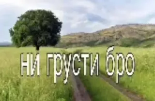 🥰 0e3ab4e1 ни грусти бро nature, paysage, arbre, champ, route, texte, russe whatsapp sticker