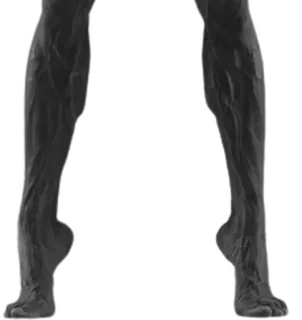 😎 13793c14 jambes, pieds, anatomie, corps, humain whatsapp sticker