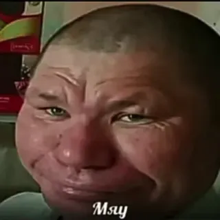 😻 14389555 Мяу Meme, Personne, Portrait, Chat, Miaou whatsapp sticker