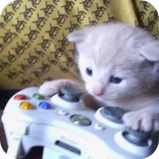 👍 1ef9bae6 chaton, chat, manette, gaming, mignon, animal, animal de compagnie whatsapp sticker