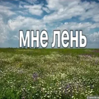 😭 f2460655 МНЕ ЛЕНЬ paresseux, procrastination, russe, texte, moi paresseux whatsapp sticker