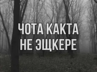 😘 f4e79688 ЧОТА КАКТА
НЕ ЭЩКЕРЕ russe, texte, forêt, mème, blague whatsapp sticker