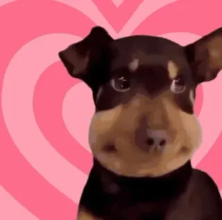 🤩 e741109f cachorro, filhote, coração, amor, animal, fofo whatsapp sticker