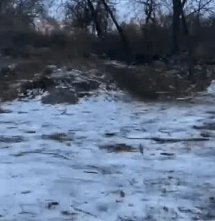 🤩 04ffbf9f telegram sticker