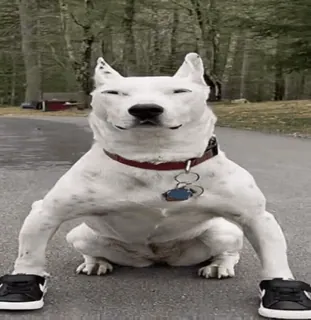 Больше стиков тут: @stikery4 telegram stickers