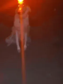 🚨 20a82d32 telegram sticker