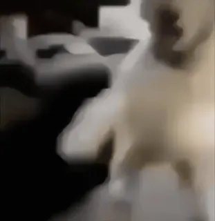 🤣 6838701e telegram sticker