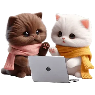 💻 307babd2 고양이, 노트북, 귀여운, 카와이, 동물, 스카프, 만화 whatsapp sticker