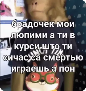 🌟 12bde6d4 брадочек мои
люпими а ти в
1. курси што ти
сичас са смертью
играешь а пон monyet, rusia, slavic, meme, lucu telegram sticker